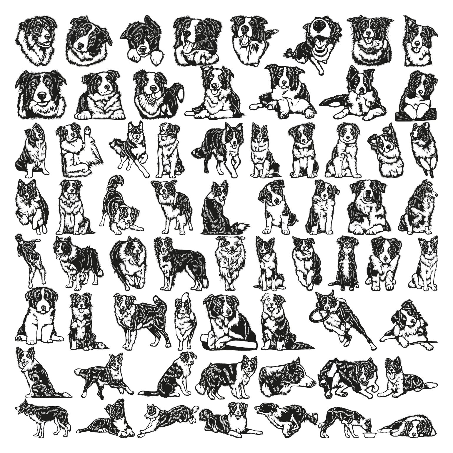 Dynamic Border Collie Dog DXF Files | Energetic Metal Wall Art