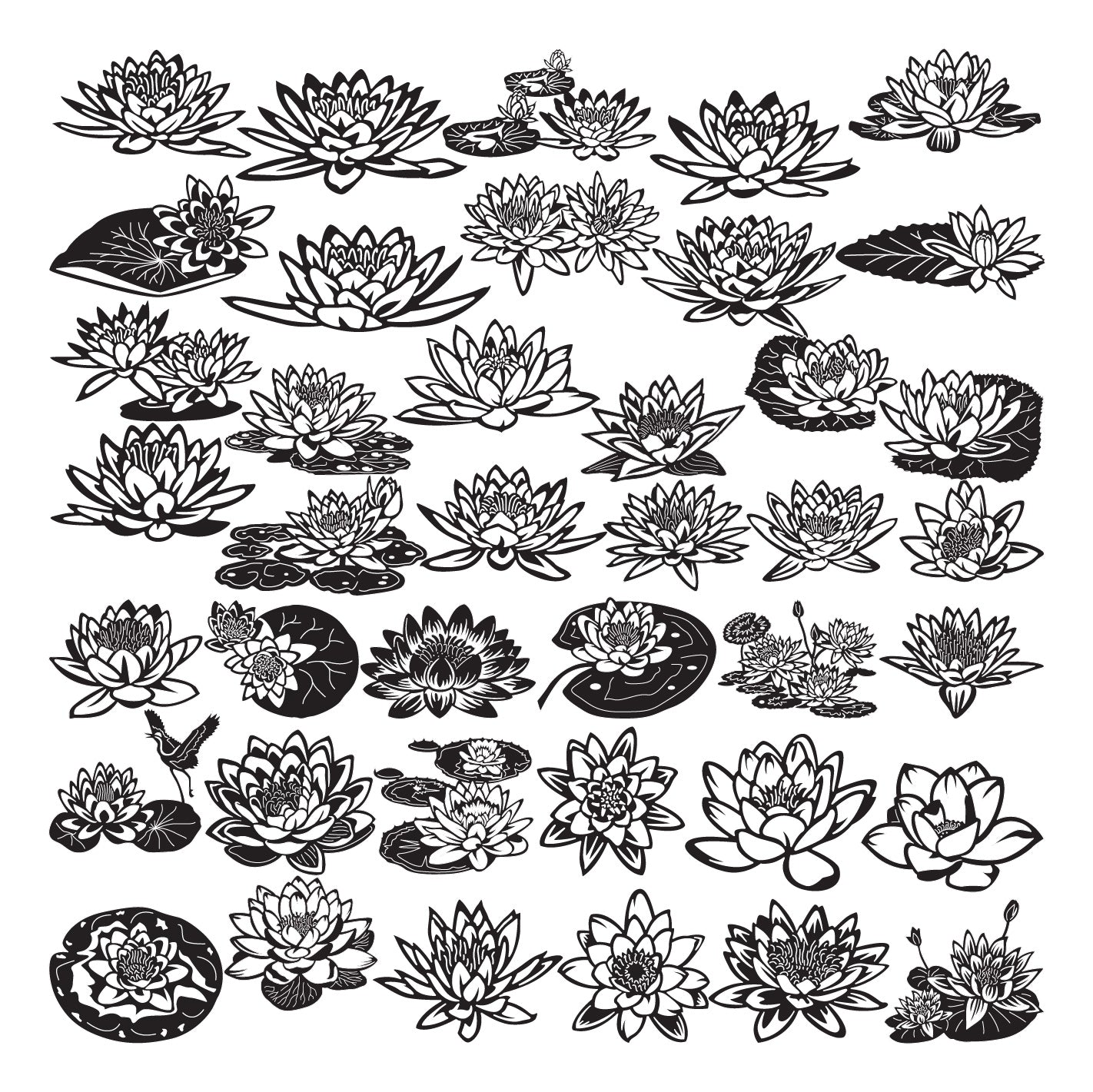 Tranquil Waterlily Flowers DXF Files | Elegant Metal Wall Art