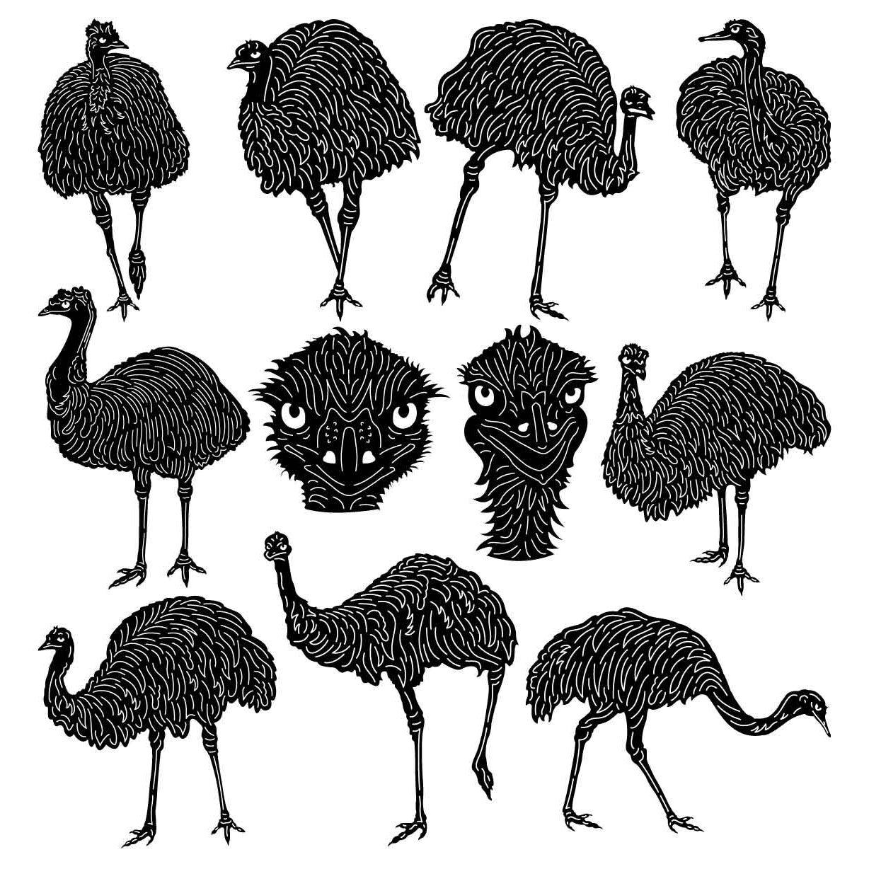 Australian Emu Birds-DXF files cut ready for cnc machines-dxfforcnc.com