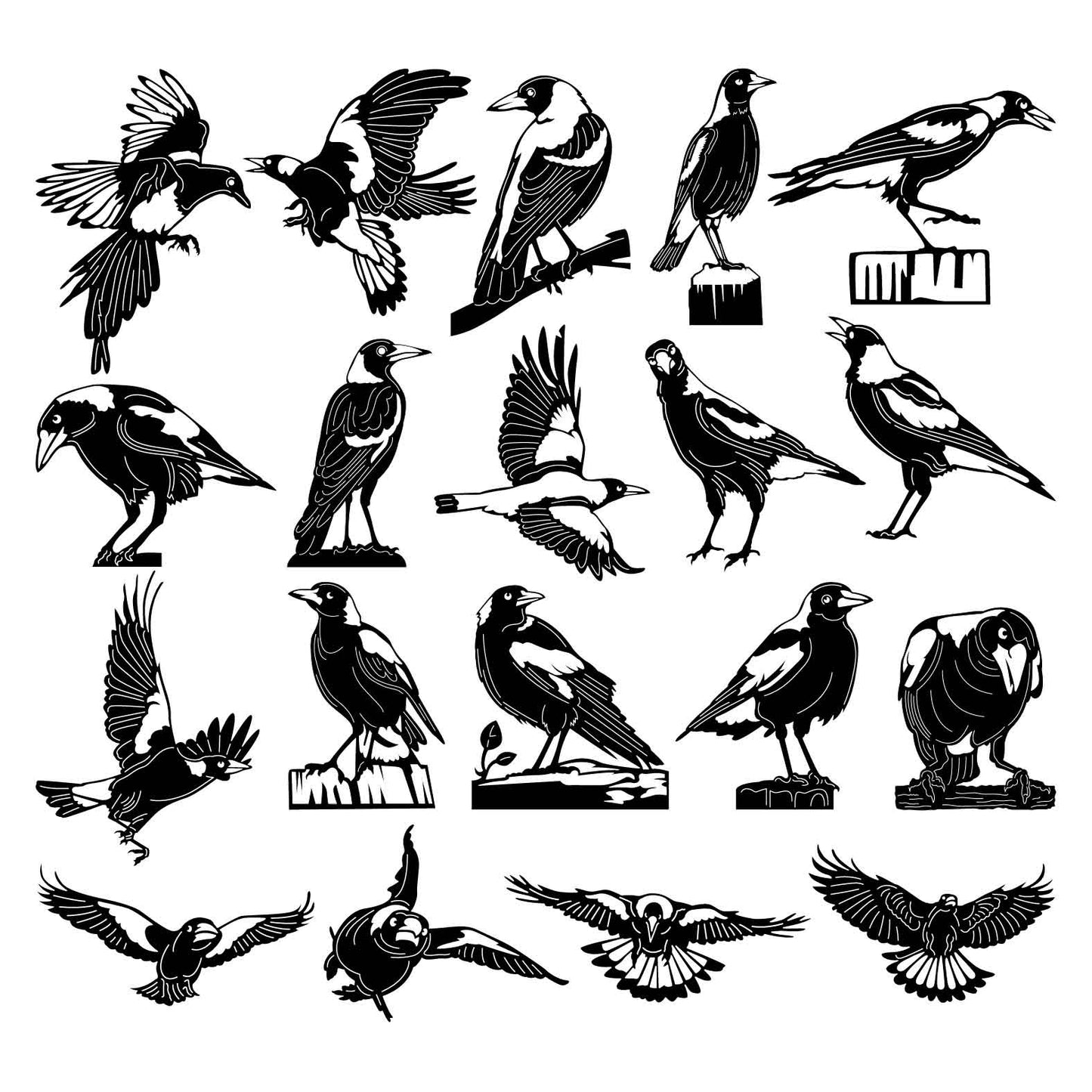 Australian Magpies Birds-DXF files Cut Ready for CNC-DXFforCNC.com