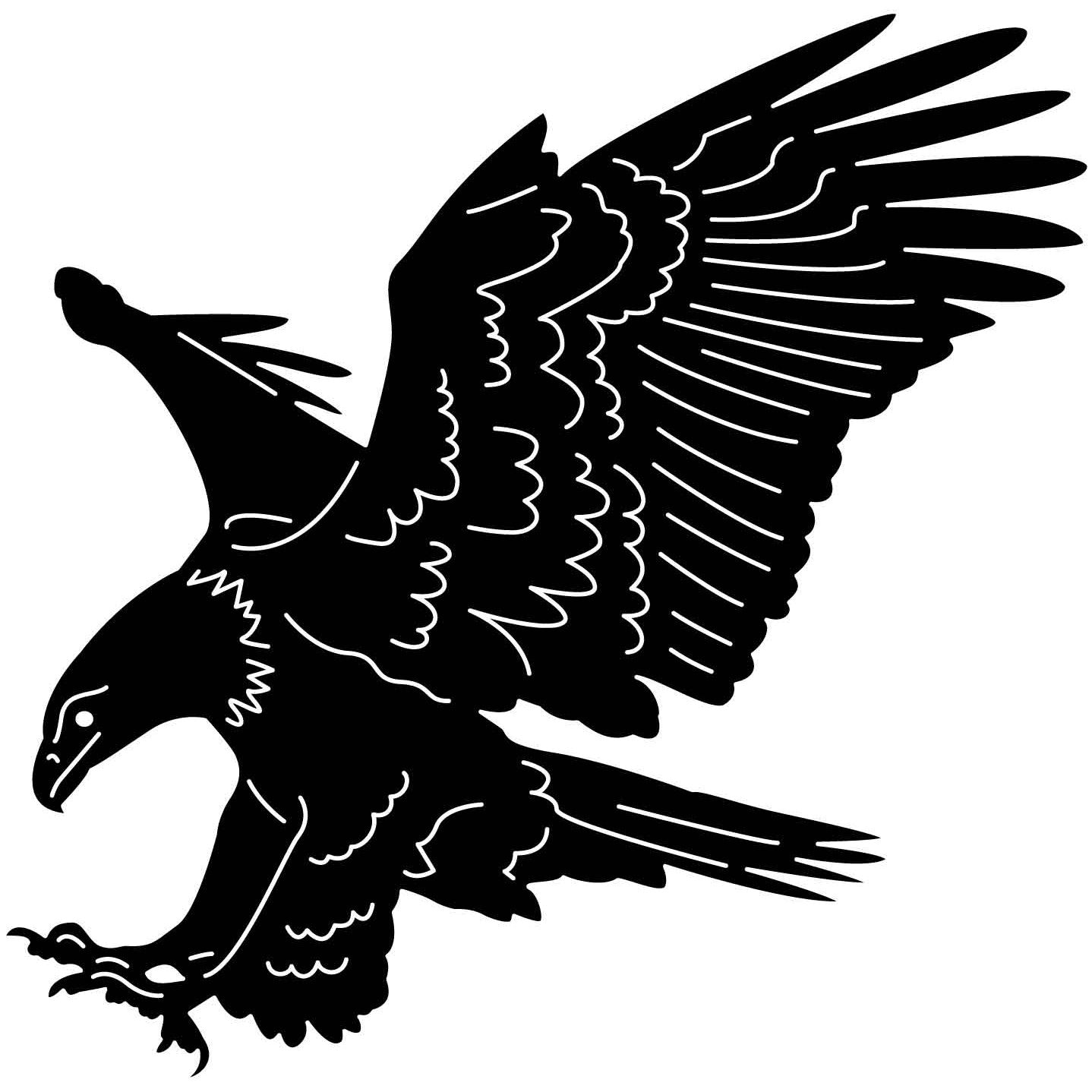 Bald Eagles Falcons and Hawks 02