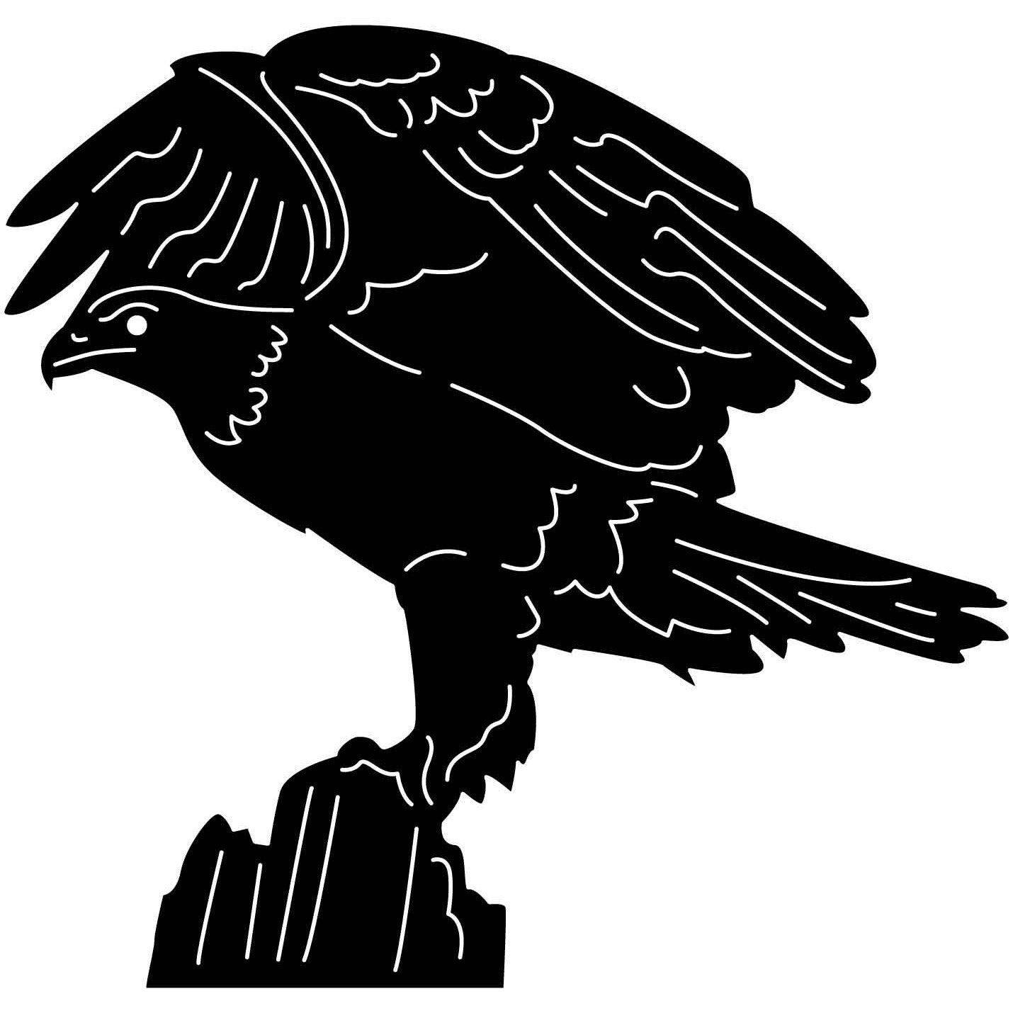 Bald Eagles Falcons and Hawks 03