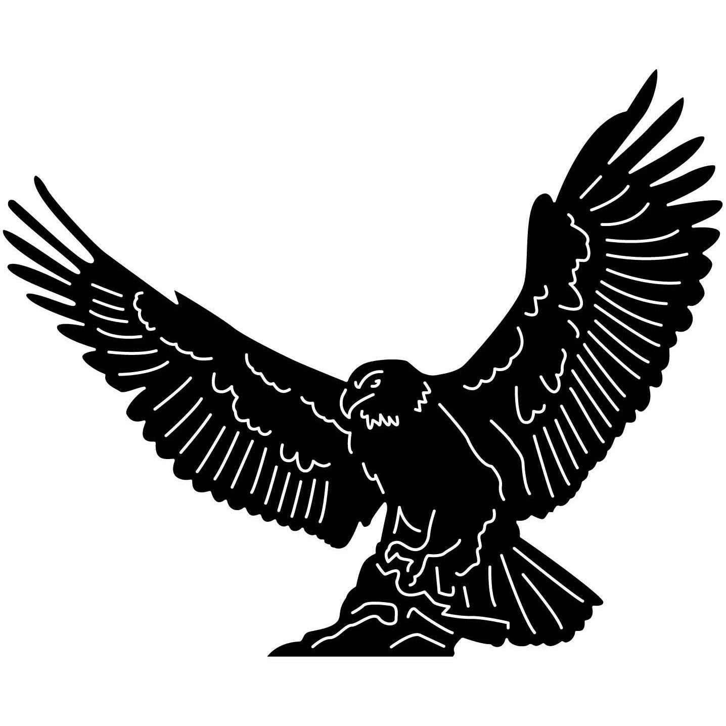 Bald Eagles Falcons and Hawks 06