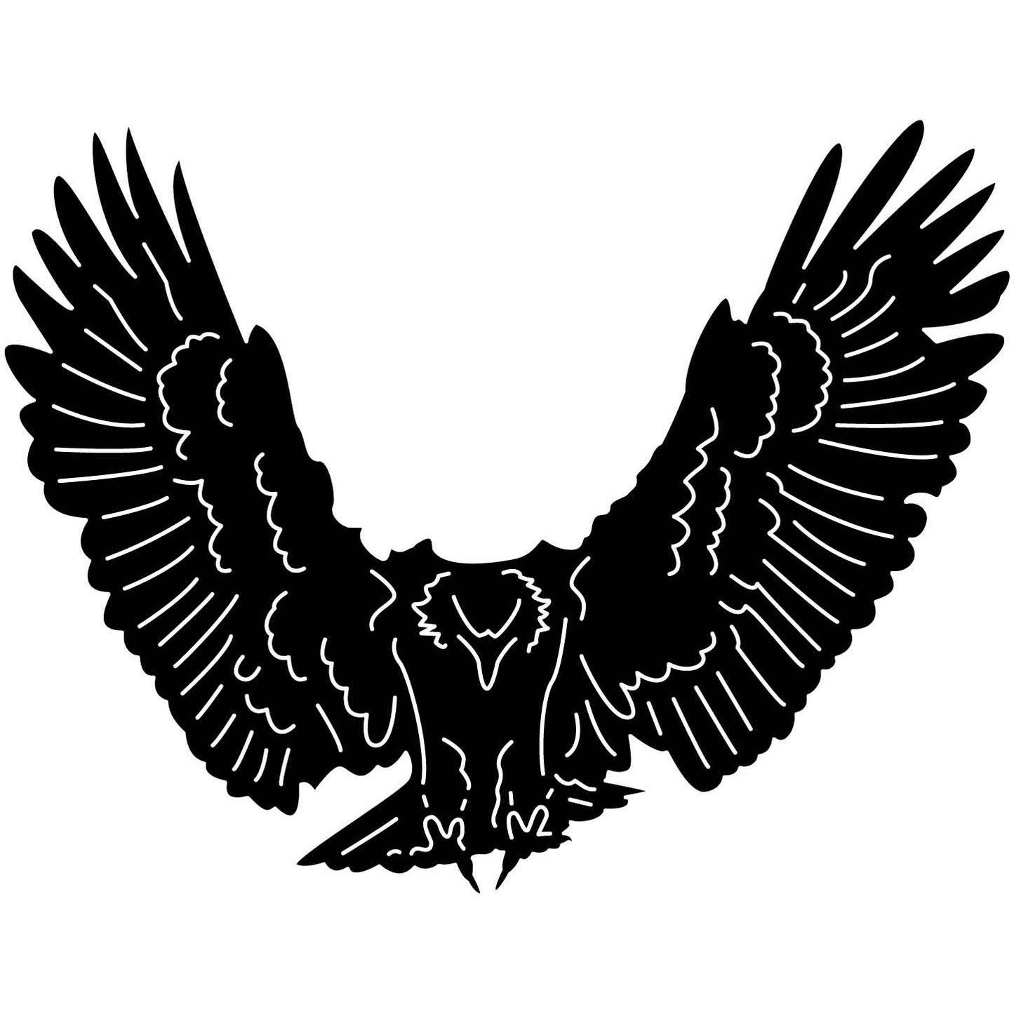 Bald Eagles Falcons and Hawks 07