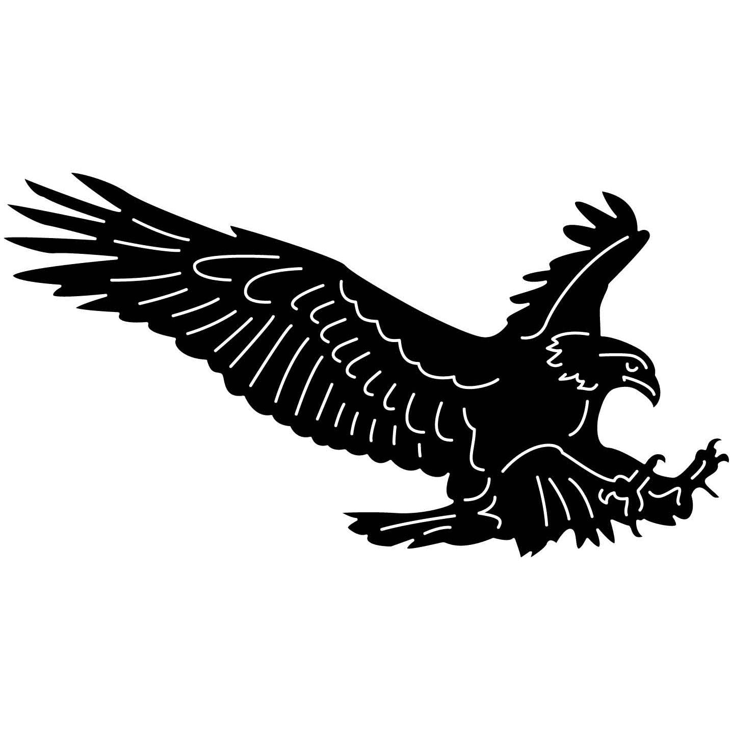 Bald Eagles Falcons and Hawks 10