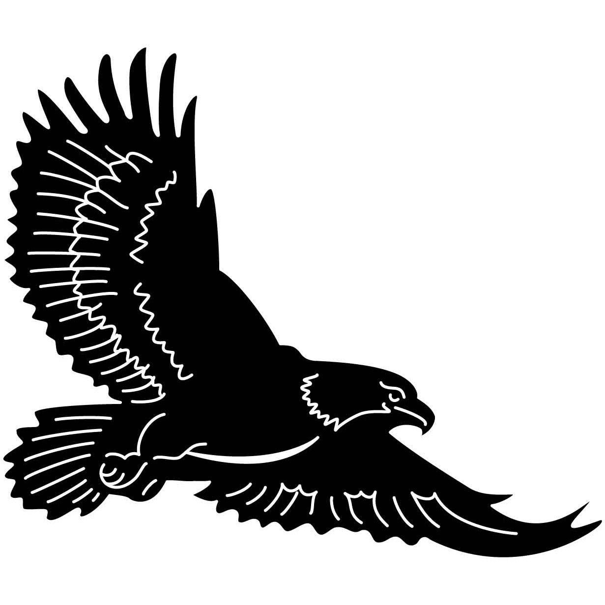 Bald Eagles Falcons and Hawks 23