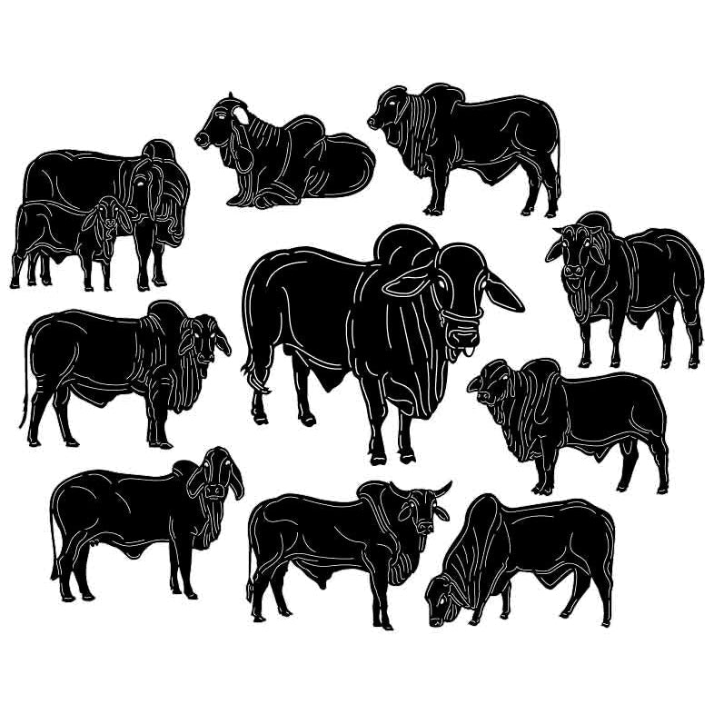 Bull Brahman Cattle-DXF files Cut Ready for CNC-DXFforCNC.com