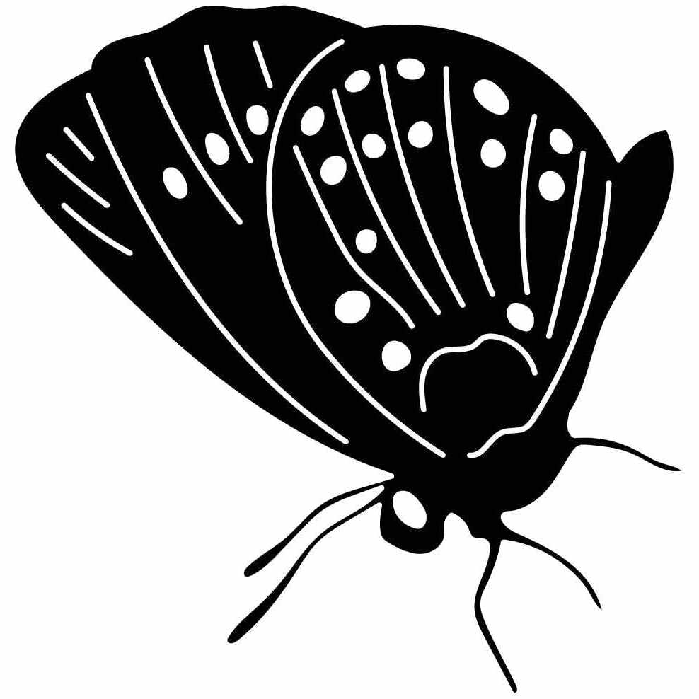 Butterfly Ornaments Decor Free-DXF files cut ready for CNC-DXFforCNC.com