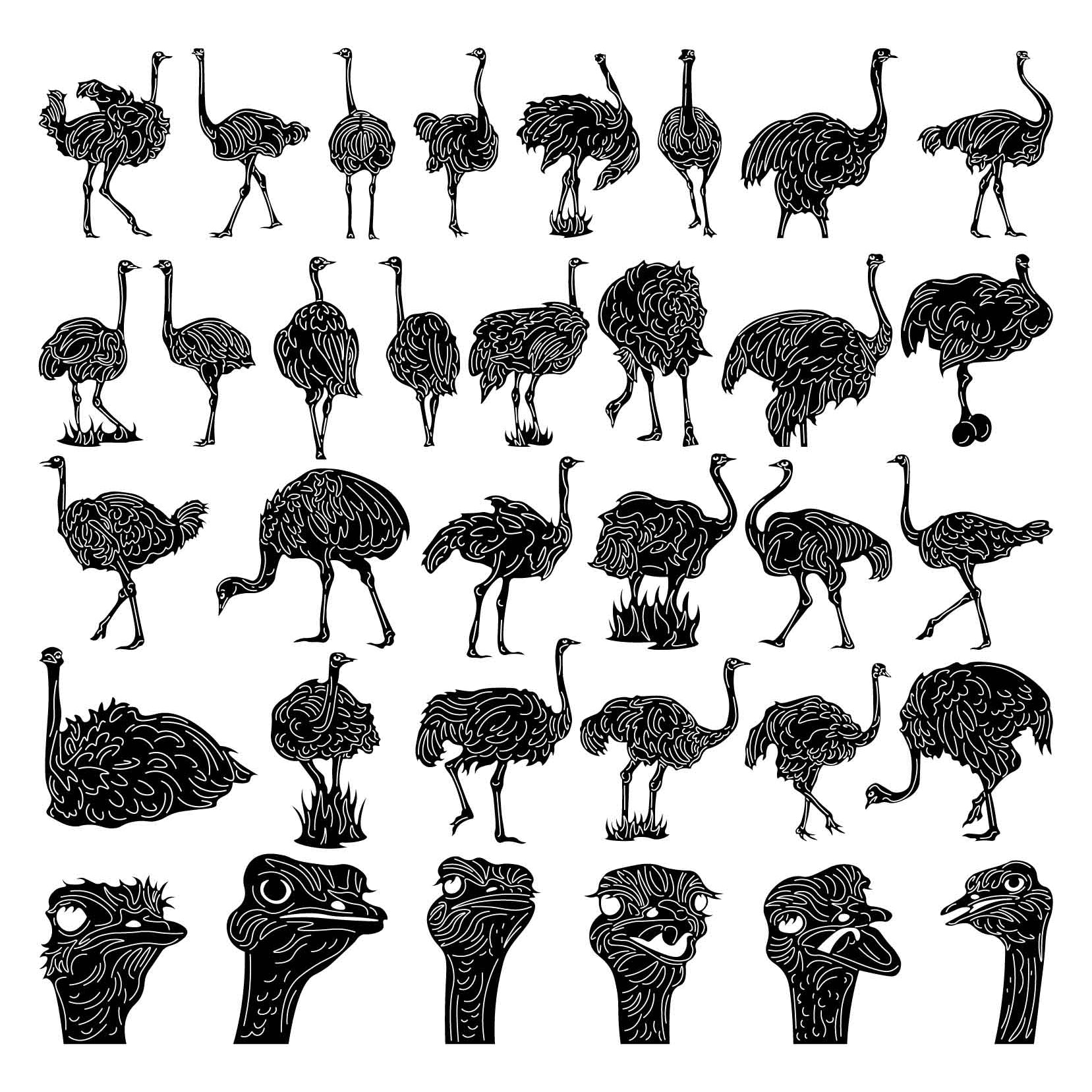 Ostrich Birds-DXF files Cut Ready for CNC-DXFforCNC.com
