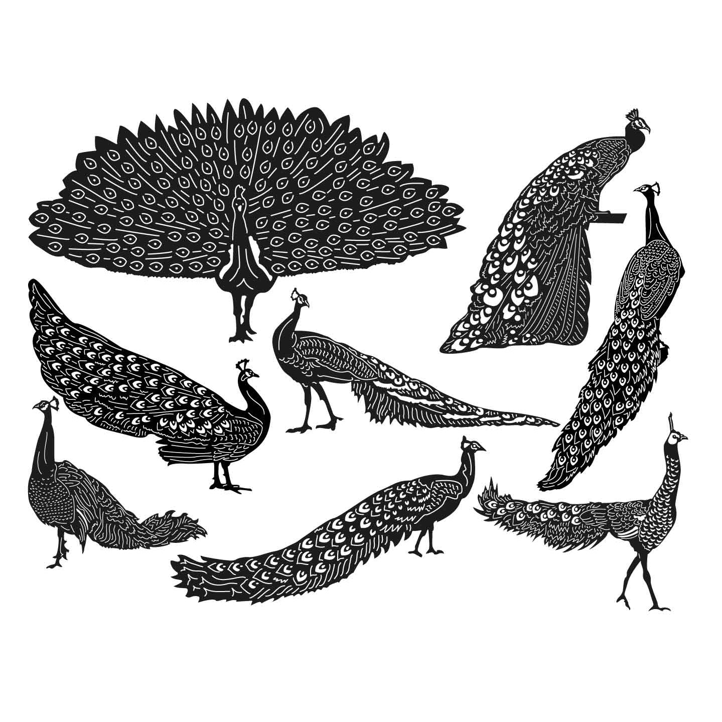 Peafowl Peacock Birds-DXF files Cut Ready for CNC-DXFforCNC.com