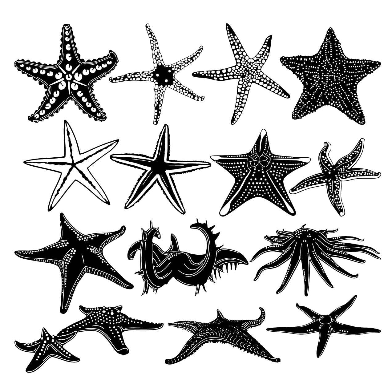Star Fish or Sea Stars-DXF files Cut Ready for CNC-DXFforCNC.com