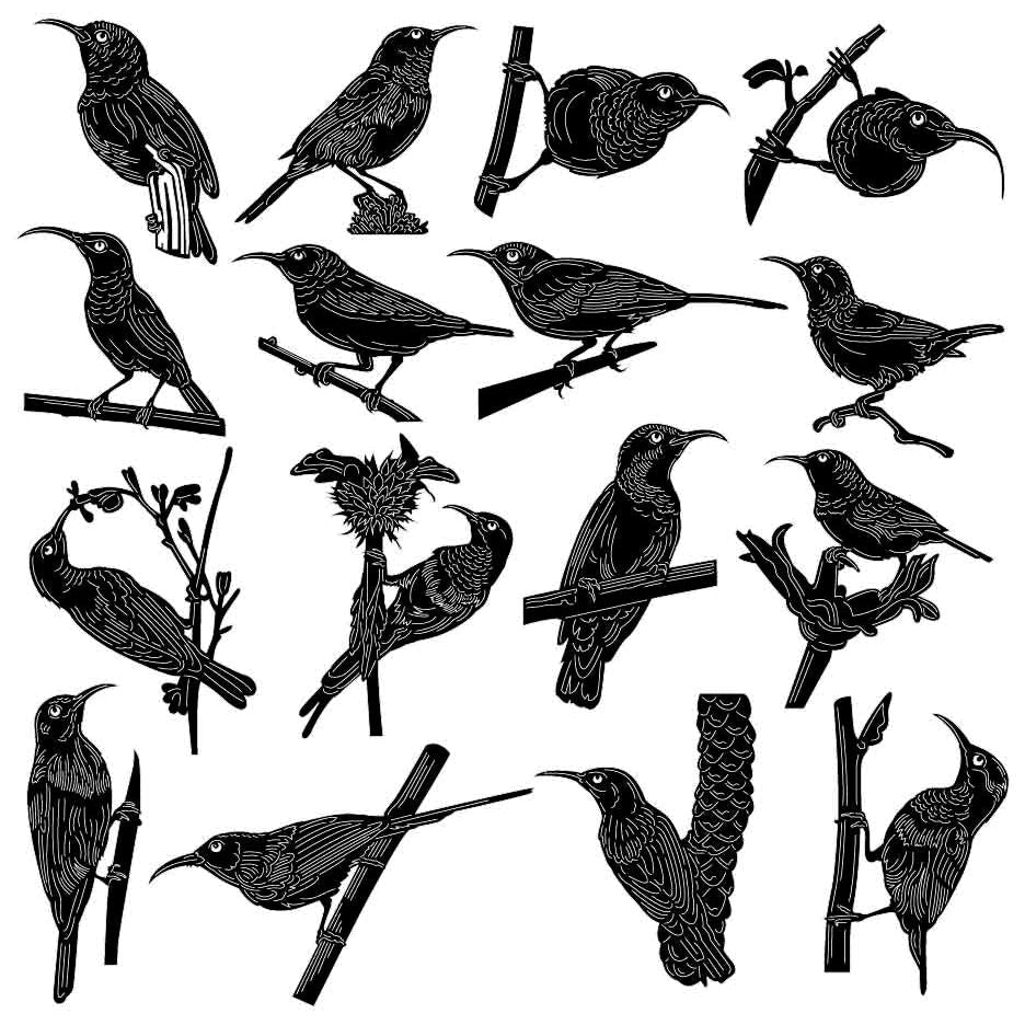 Sunbirds and Spiderhunters Bird-DXF files Cut Ready for CNC-DXFforCNC.com