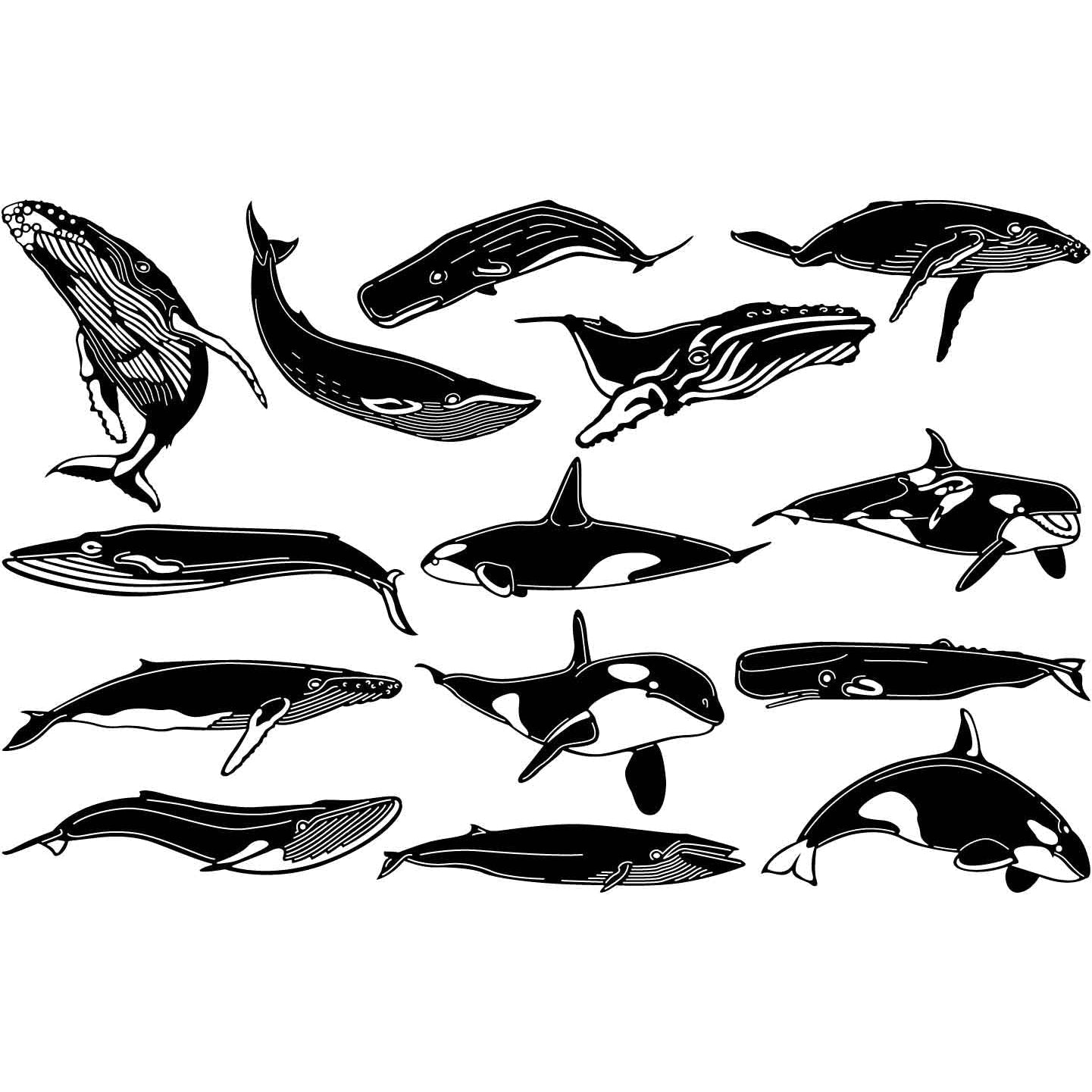 Whales-DXF files Cut Ready for CNC-DXFforCNC.com