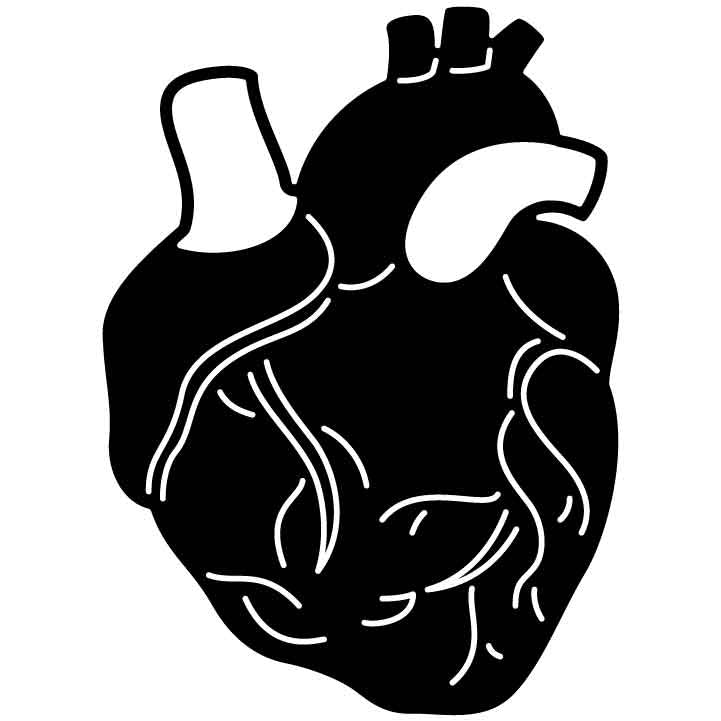 anatomical heart Free DXF File for CNC Machines-DXFforCNC.com