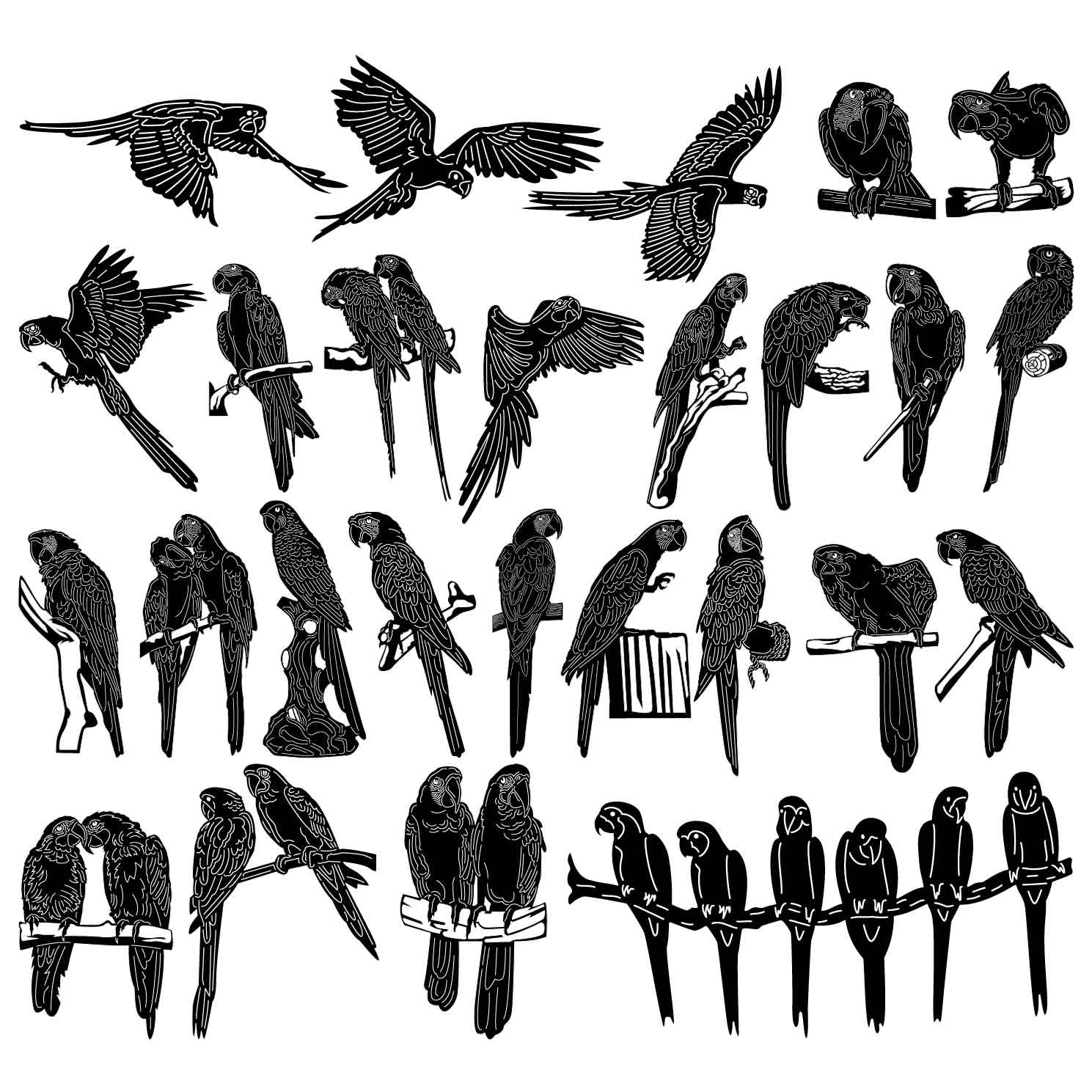 Macaw Parrot Birds-DXF files Cut Ready for CNC-DXFforCNC.com